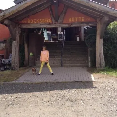 Feriendomizil Adler By Interhome Goslar