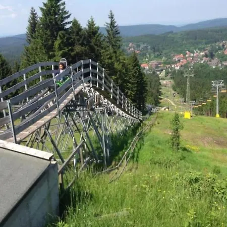 Feriendomizil Adler By Interhome Goslar