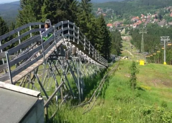 Feriendomizil Adler By Interhome Goslar