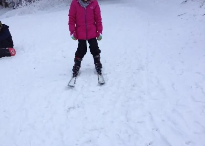 Feriendomizil Adler By Interhome Apartment