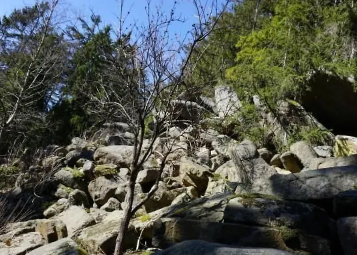 Feriendomizil Adler By Interhome *