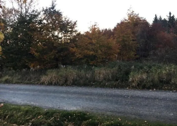 Apartment Feriendomizil Adler By Interhome *