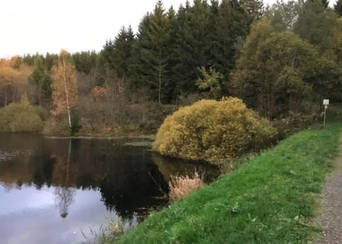 Feriendomizil Adler By Interhome Apartment Goslar