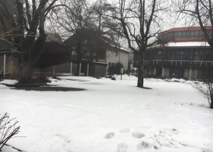 Feriendomizil Adler By Interhome Goslar