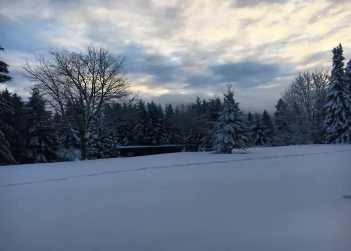 Feriendomizil Adler By Interhome